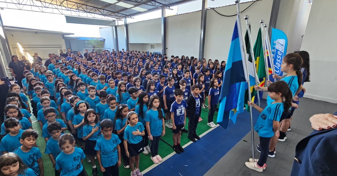 Ensino Fundamental I 7
